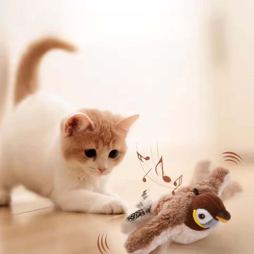 🐦 Flappy Bird 2.0 – Gioco Interattivo per Gatti 🐈