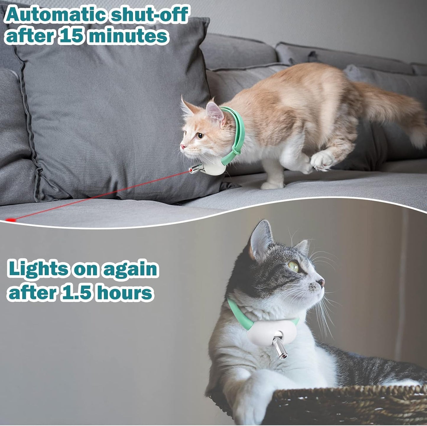 PurrSuit™ - Interactive Laser Collar