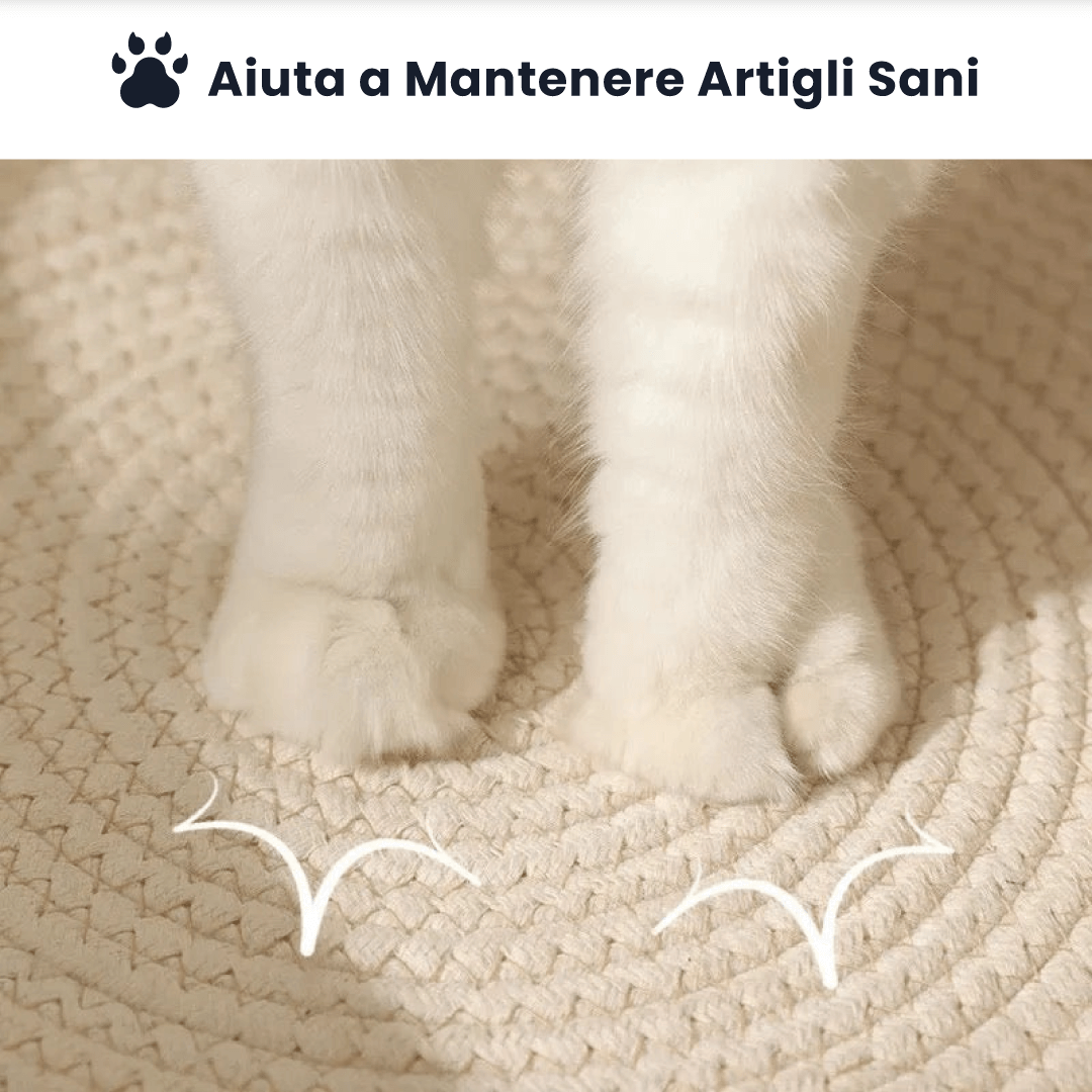 Cesta per Gatti con Corda Intrecciata