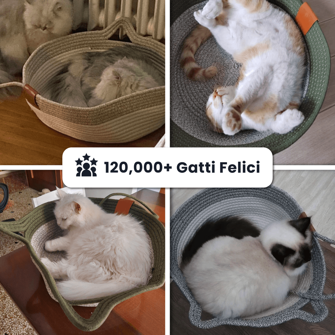 Cesta per Gatti con Corda Intrecciata